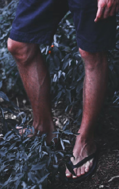 Imagem_1_Sandálias_Fatal